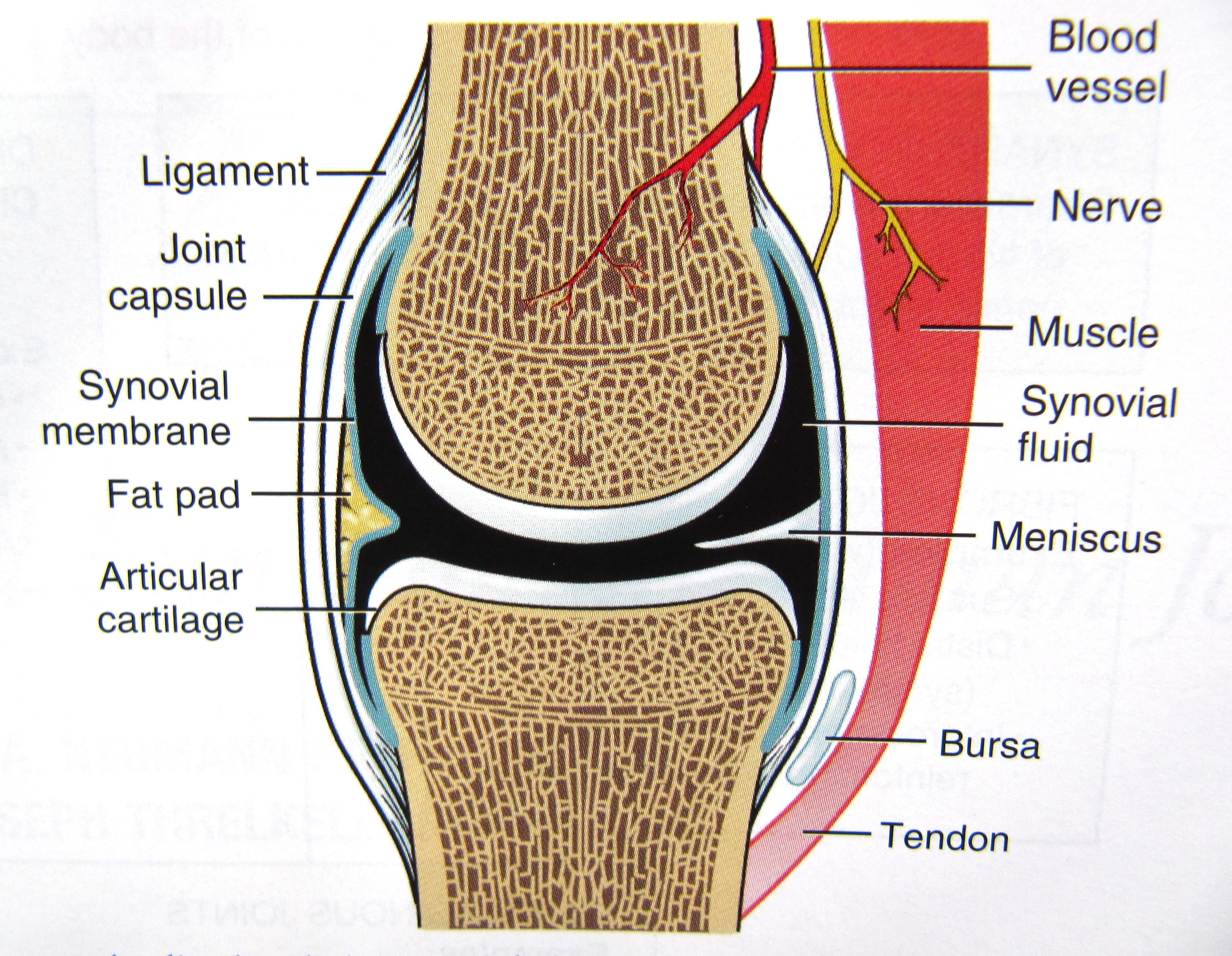 viêm thấp khớp chữa massage chân